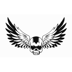 Skull with wings 3