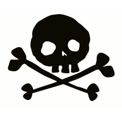Skull and crossbones 8