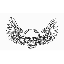 Skull with wings