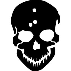 Skull with bullet holes