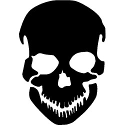 Skull 4