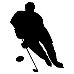 hockey player 1