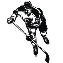 hockey player 2