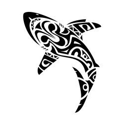 shark 3