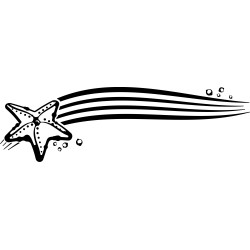 Starfish banner